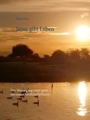 cover image of Jesus gibt Leben